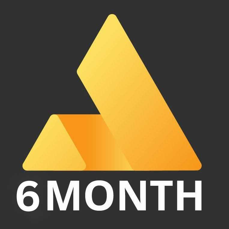 Aurum 6 Month Plan